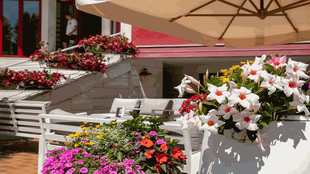 Hotel Sofia ليدو دي يسولو المظهر الخارجي الصورة